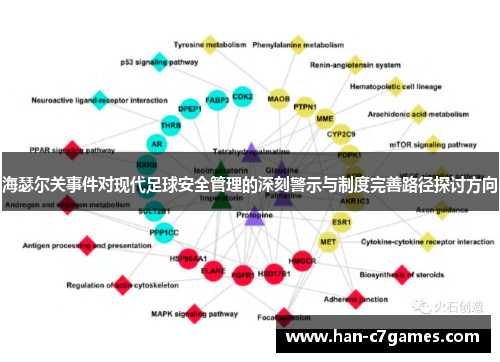 海瑟尔关事件对现代足球安全管理的深刻警示与制度完善路径探讨方向